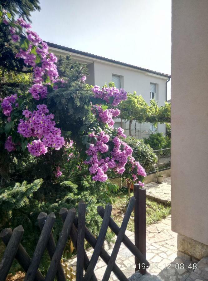 Apartman Vivian Пула Екстер'єр фото